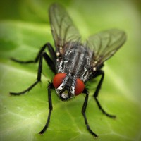 /album/atc-elvira/photolia-a01-jpg/