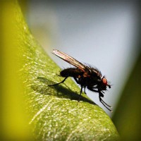 /album/atc-elvira/photolia-a04-jpg/