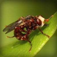 /album/atc-elvira/photolia-a06-jpg/